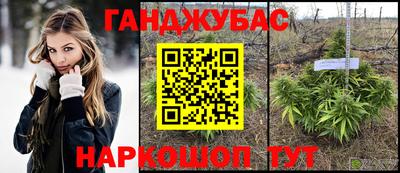 шишки Конаково