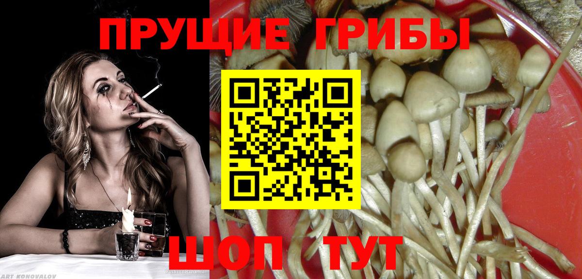 Псилоцибиновые грибы ЛСД Салехард