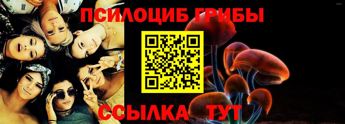 Салехард  Псилоцибиновые грибы Psilocybine cubensis  как найти закладки  Вход с VPN  Галлюциногенные грибы Magic Shrooms 